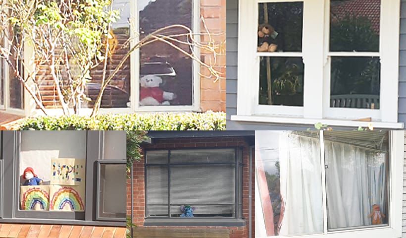 Teddy bears lurk at neighborhood windows during the COVID-19 lockdown